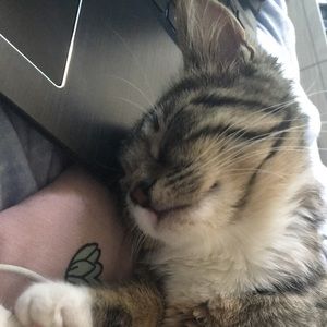 Meet your Posher, Rachael